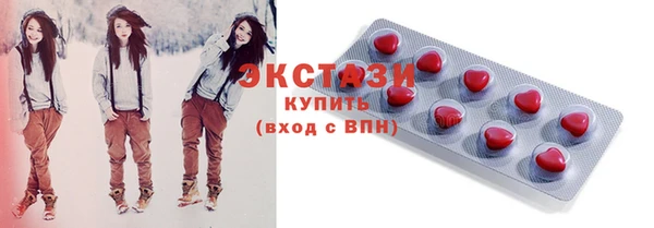 индика Осташков
