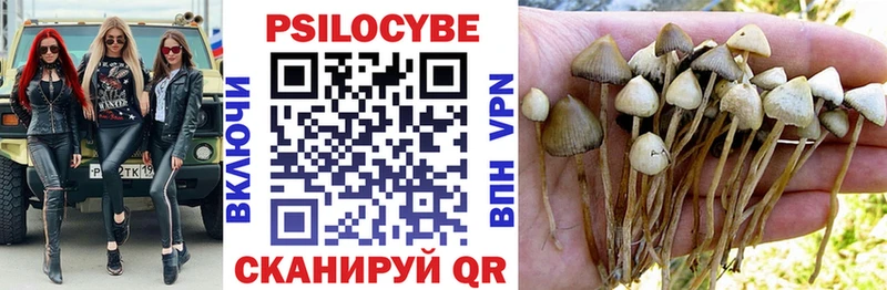 Галлюциногенные грибы GOLDEN TEACHER  Починок 